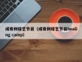 成宥利综艺节目（成宥利综艺节目healing camp）